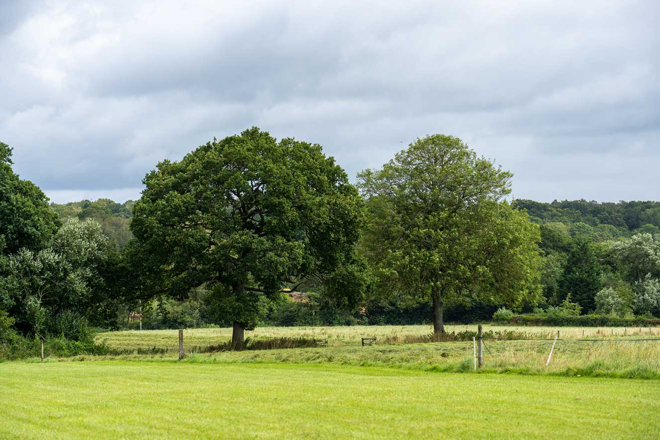 Green Belt Land